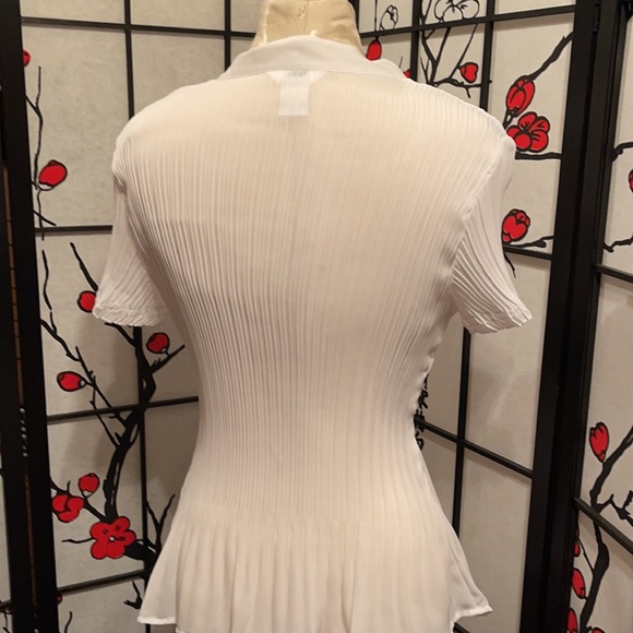 S.L.B. Sheer Short Sleeve Blouse - Picture 5 of 7